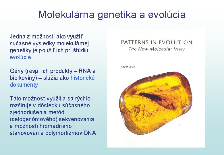 Molekulárna genetika a evolúcia Jedna z možností ako využiť súčasné výsledky molekulárnej genetiky je
