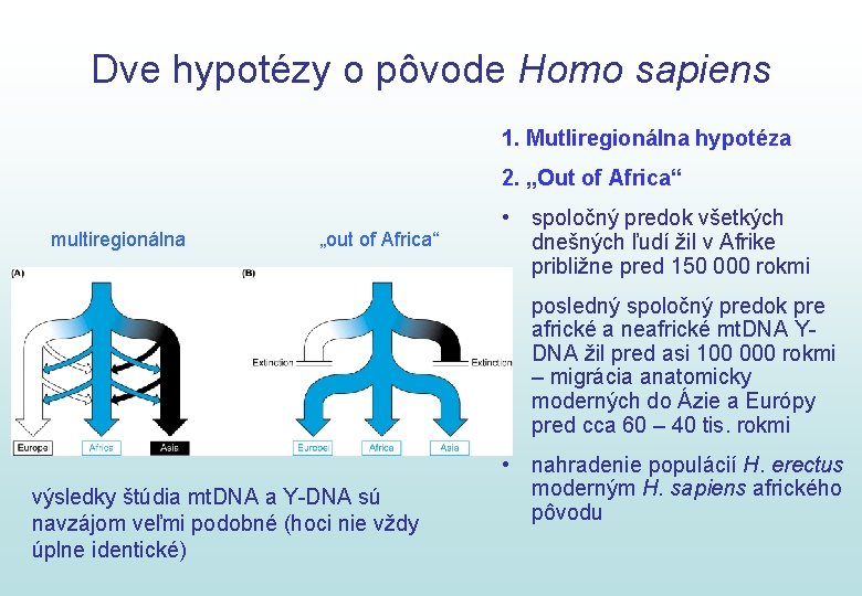 Dve hypotézy o pôvode Homo sapiens 1. Mutliregionálna hypotéza 2. „Out of Africa“ multiregionálna