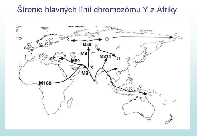 Šírenie hlavných línií chromozómu Y z Afriky K 