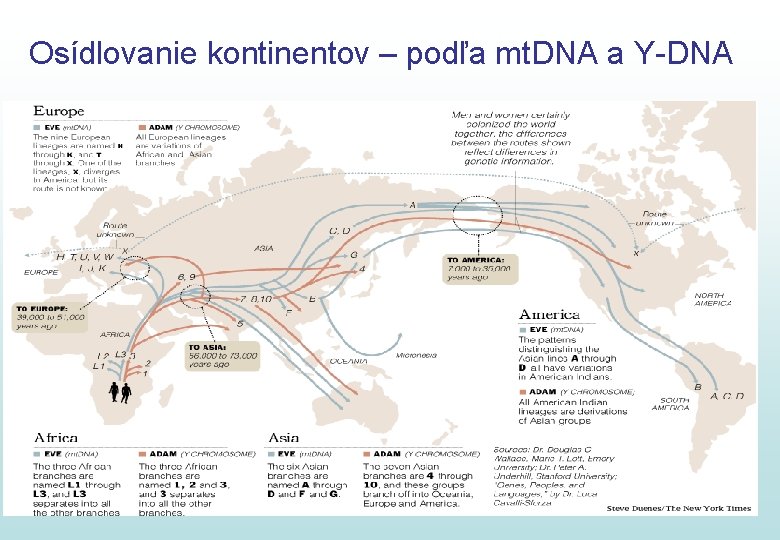 Osídlovanie kontinentov – podľa mt. DNA a Y-DNA 