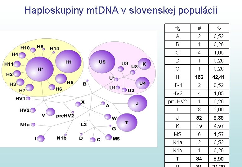 Haploskupiny mt. DNA v slovenskej populácii Hg # % A 2 0, 52 B