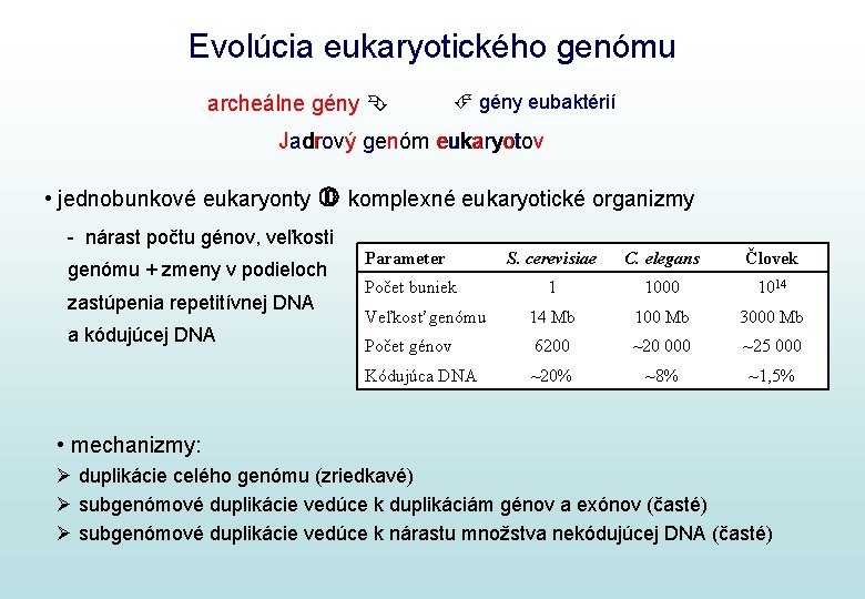 Evolúcia eukaryotického genómu archeálne gény eubaktérií Jadrový genóm eukaryotov • jednobunkové eukaryonty komplexné eukaryotické