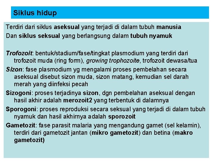 Siklus hidup Terdiri dari siklus aseksual yang terjadi di dalam tubuh manusia Dan siklus