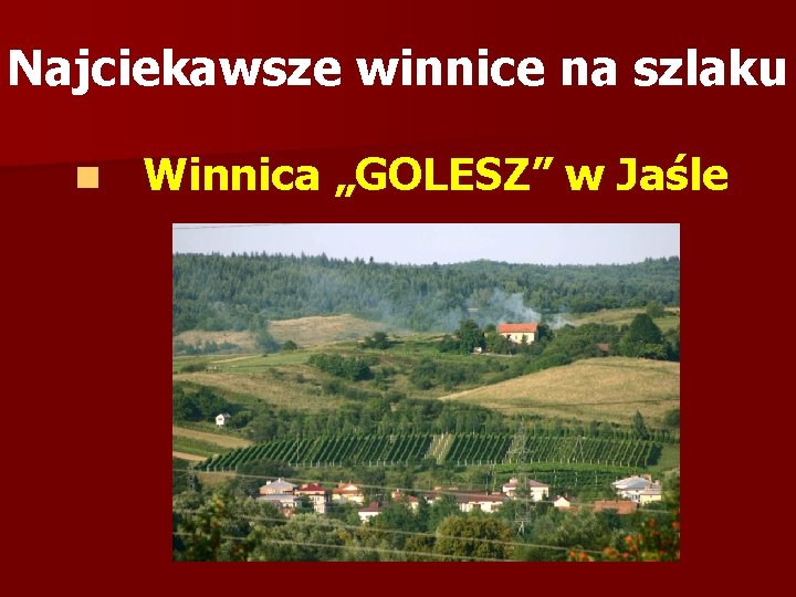 Najciekawsze winnice na szlaku n Winnica „GOLESZ” w Jaśle 