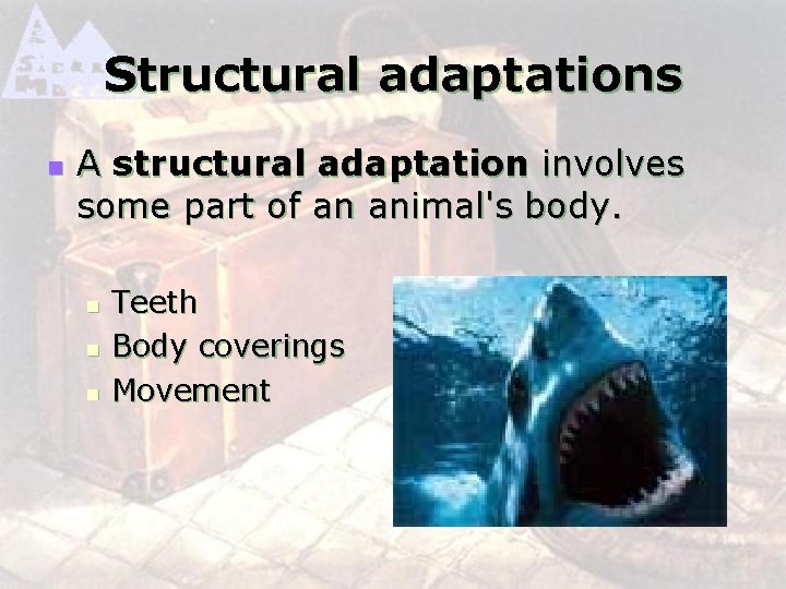 Structural adaptations n A structural adaptation involves some part of an animal's body. n