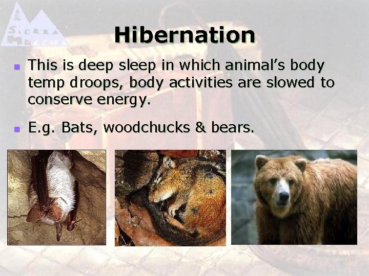 Hibernation n n This is deep sleep in which animal’s body temp droops, body
