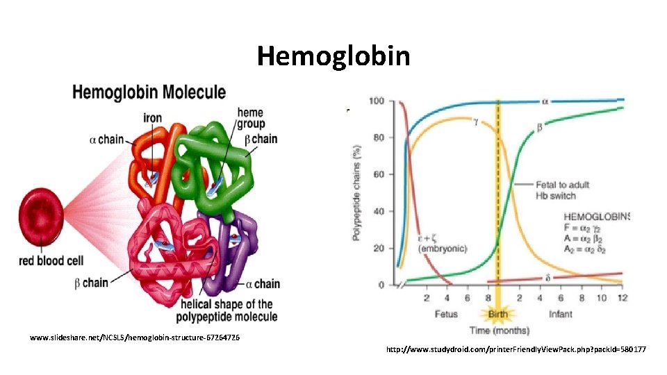 Hemoglobin www. slideshare. net/NCSLS/hemoglobin-structure-67264726 http: //www. studydroid. com/printer. Friendly. View. Pack. php? pack. Id=580177