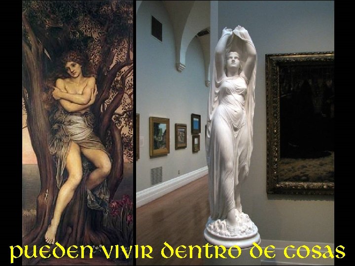 Pueden vivir dentro de cosas 
