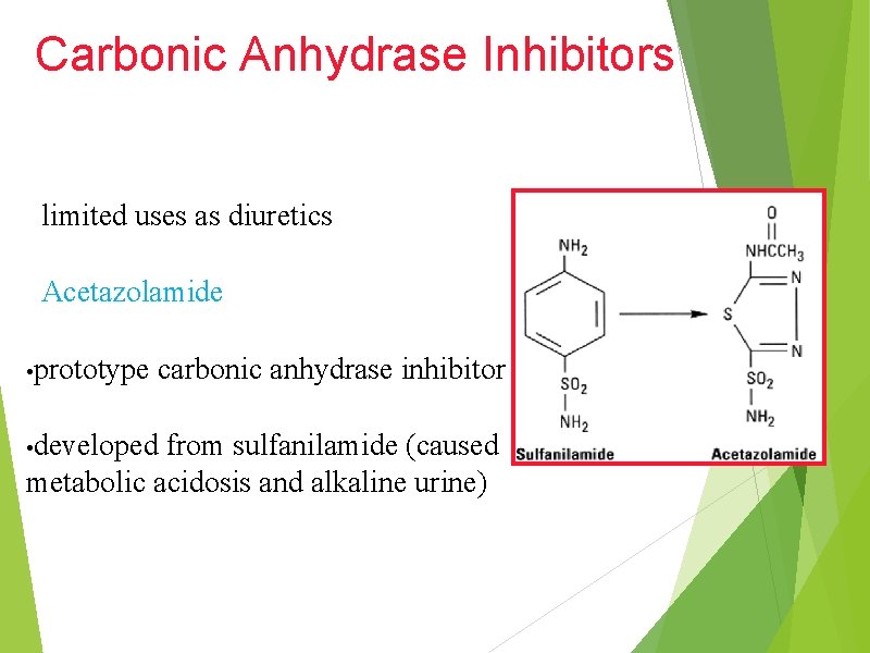 Carbonic Anhydrase Inhibitors limited uses as diuretics Acetazolamide • prototype carbonic anhydrase inhibitor •