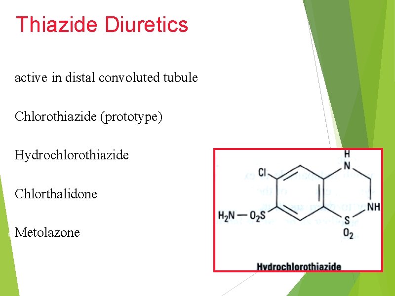 Thiazide Diuretics active in distal convoluted tubule Chlorothiazide (prototype) Hydrochlorothiazide Chlorthalidone Metolazone 