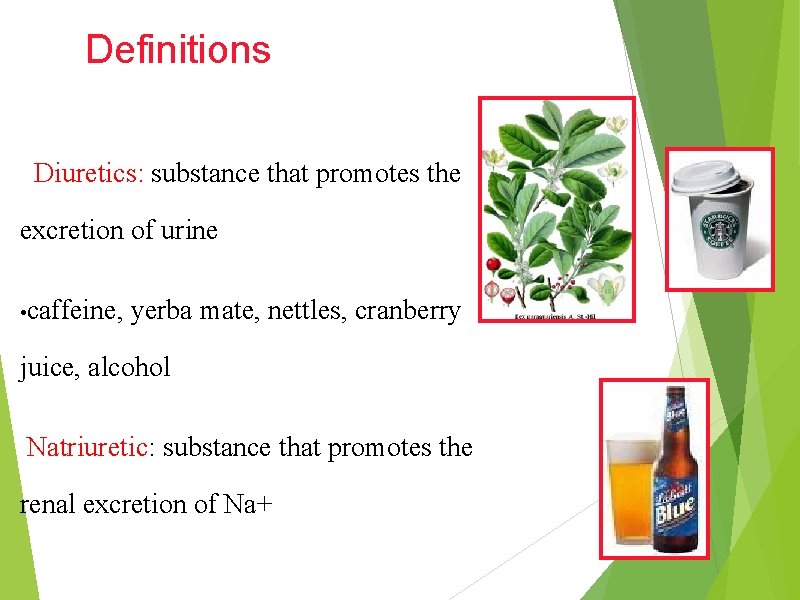 Definitions Diuretics: substance that promotes the excretion of urine • caffeine, yerba mate, nettles,