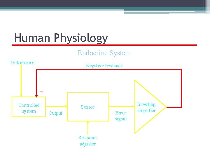 Human Physiology Endocrine System Disturbance Negative feedback _ Controlled system Sensor Error signal Output