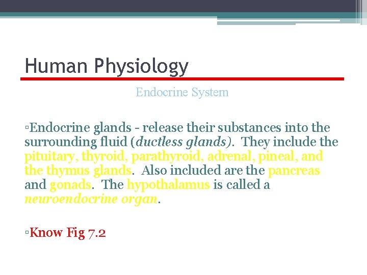 Human Physiology Endocrine System ▫Endocrine glands - release their substances into the surrounding fluid