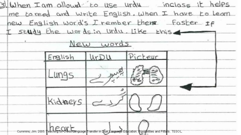 Cummins, Jim. 2005. Teaching for Cross-Language Transfer in Dual Language Education: Possibilities and Pitfalls.