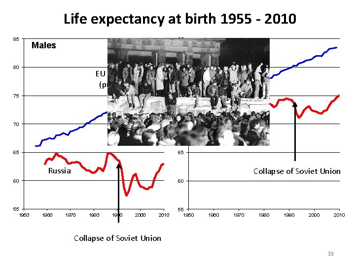 Life expectancy at birth 1955 - 2010 85 85 Males 80 Females 80 EU