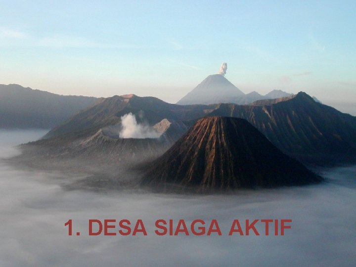 1. DESA SIAGA AKTIF 