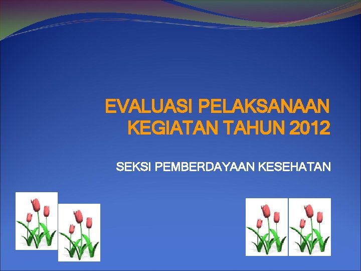 EVALUASI PELAKSANAAN KEGIATAN TAHUN 2012 SEKSI PEMBERDAYAAN KESEHATAN 