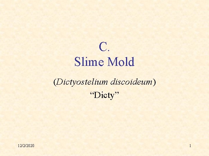 C. Slime Mold (Dictyostelium discoideum) “Dicty” 12/2/2020 1 