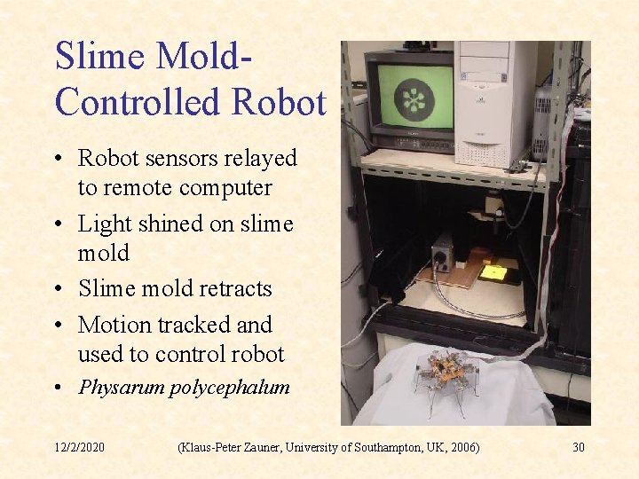 Slime Mold. Controlled Robot • Robot sensors relayed to remote computer • Light shined