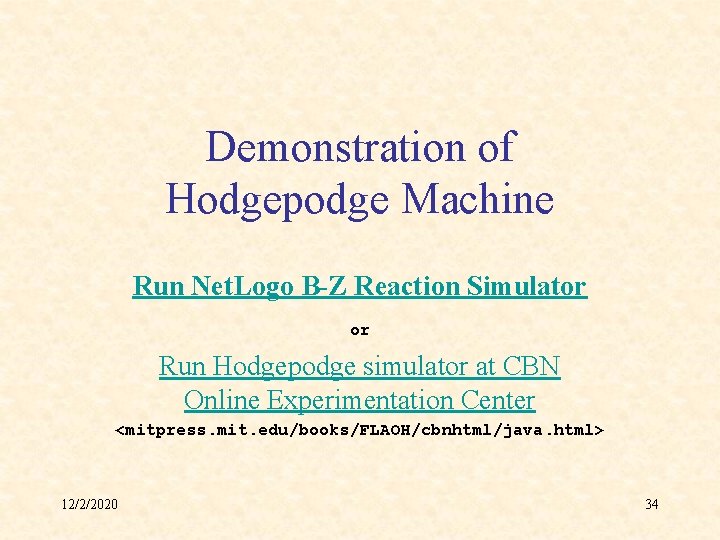 Demonstration of Hodgepodge Machine Run Net. Logo B-Z Reaction Simulator or Run Hodgepodge simulator