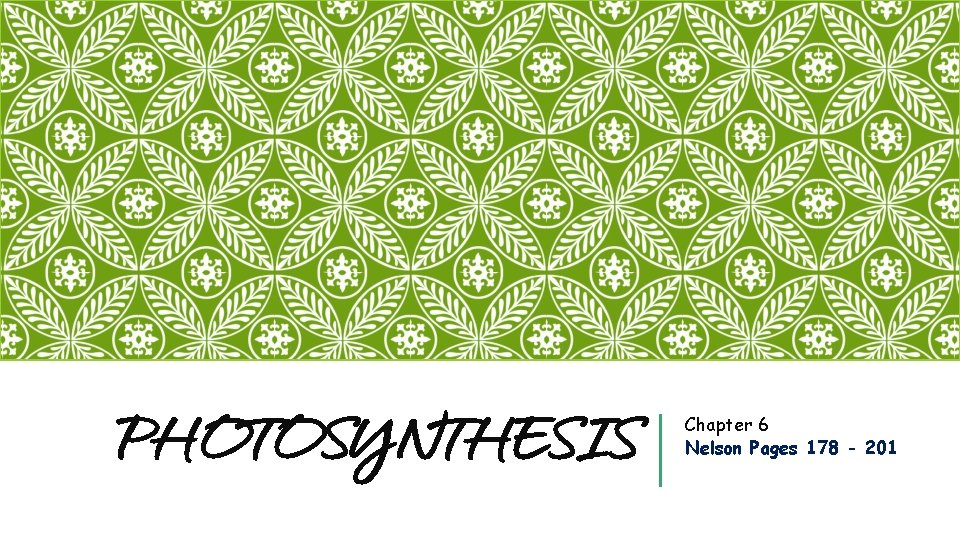 PHOTOSYNTHESIS Chapter 6 Nelson Pages 178 - 201 