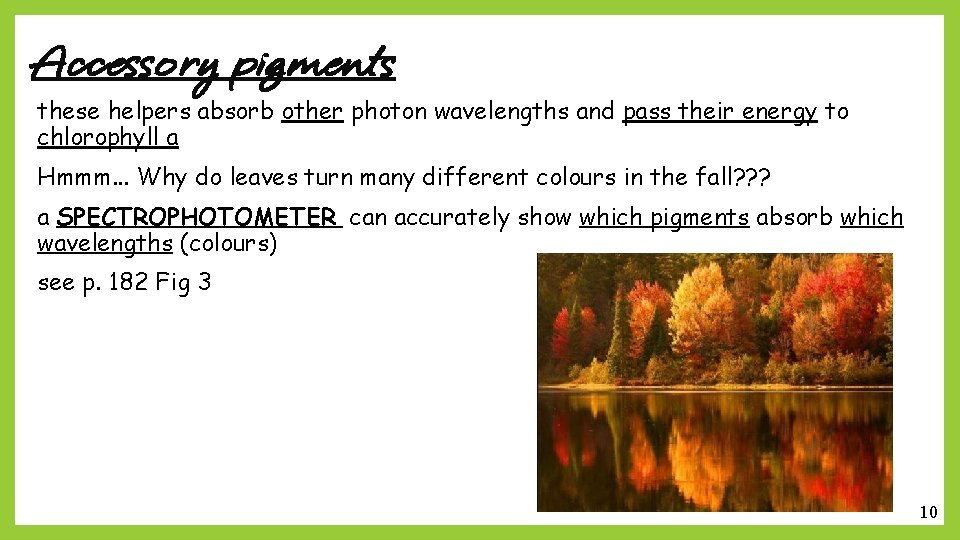 Accessory pigments these helpers absorb other photon wavelengths and pass their energy to chlorophyll