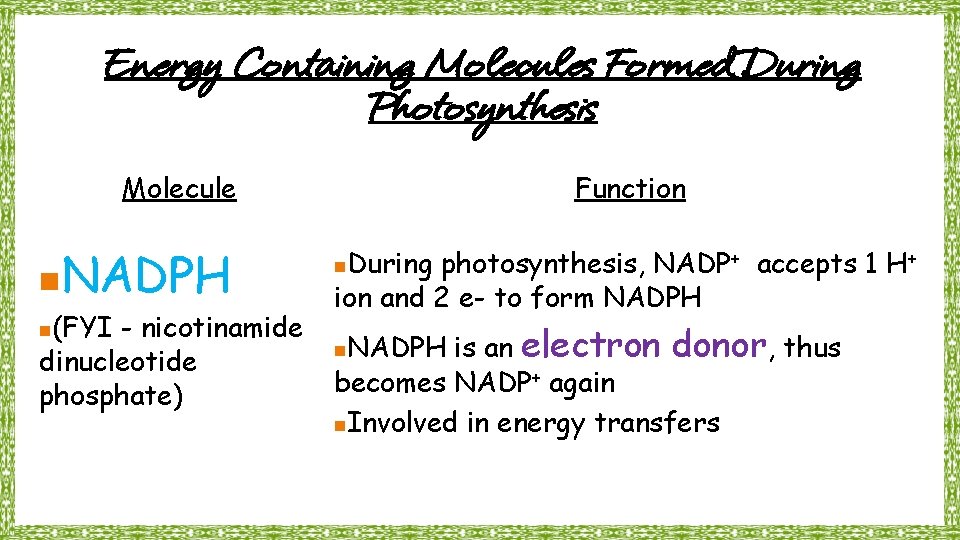 Energy Containing Molecules Formed During Photosynthesis Molecule n NADPH (FYI - nicotinamide dinucleotide phosphate)