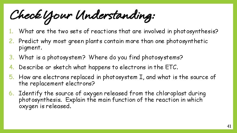 Check Your Understanding: 1. What are the two sets of reactions that are involved