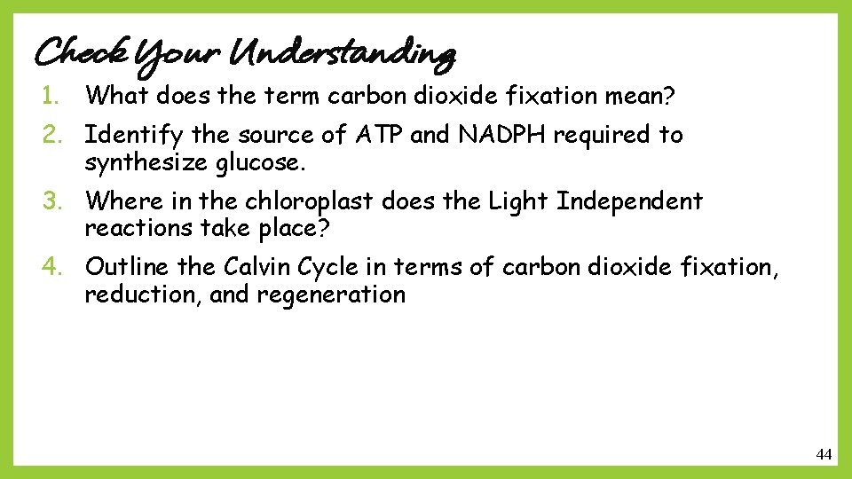 Check Your Understanding 1. What does the term carbon dioxide fixation mean? 2. Identify