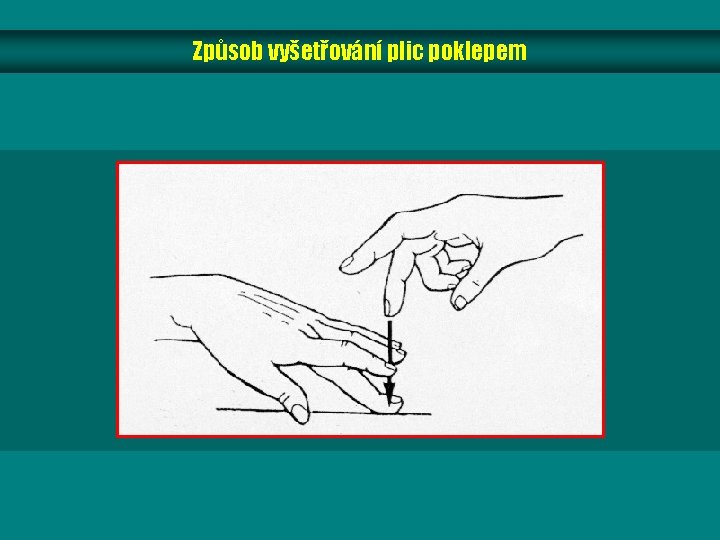 Způsob vyšetřování plic poklepem Způsob vyšetřování plic poklepem