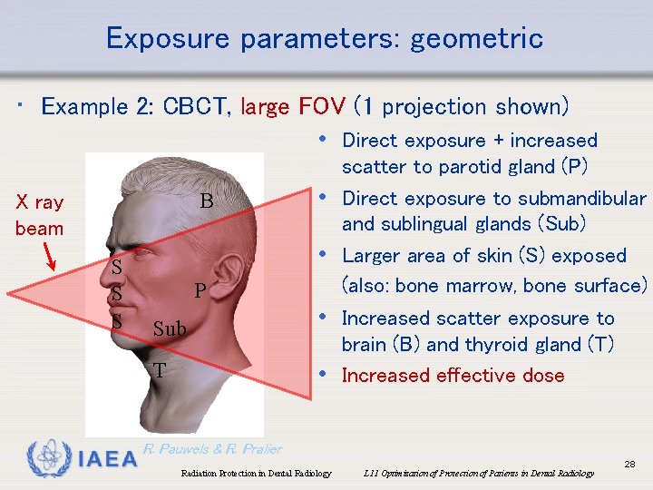 Exposure parameters: geometric • Example 2: CBCT, large FOV (1 projection shown) • Direct