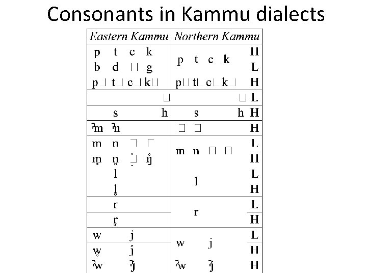 Consonants in Kammu dialects 