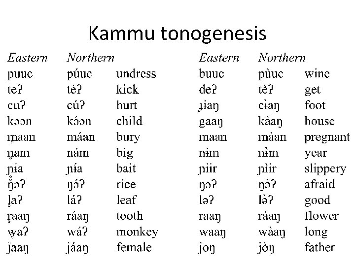 Kammu tonogenesis 