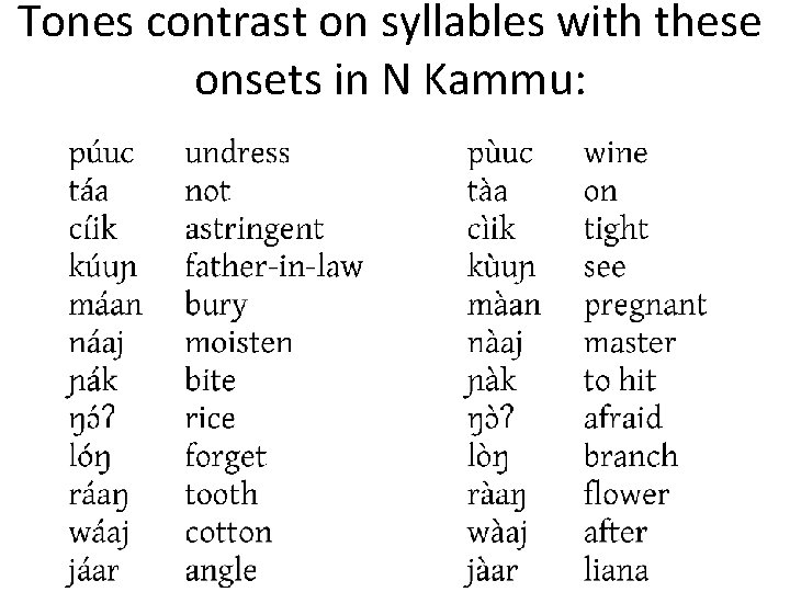 Tones contrast on syllables with these onsets in N Kammu: 