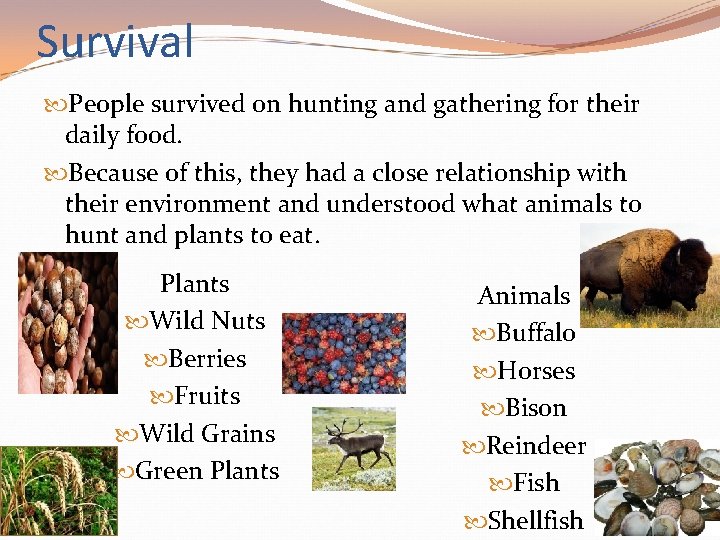 Survival People survived on hunting and gathering for their daily food. Because of this, Survival People survived on hunting and gathering for their daily food. Because of this,