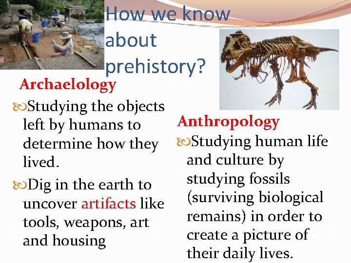 How we know about prehistory? Archaelology Studying the objects Anthropology left by humans to How we know about prehistory? Archaelology Studying the objects Anthropology left by humans to