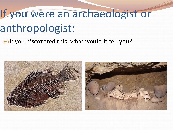 If you were an archaeologist or anthropologist: If you discovered this, what would it If you were an archaeologist or anthropologist: If you discovered this, what would it