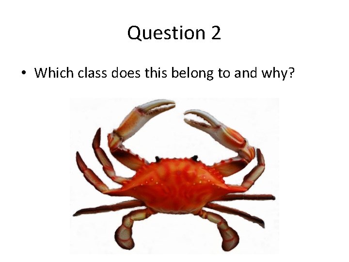 Question 2 • Which class does this belong to and why? Question 2 • Which class does this belong to and why?