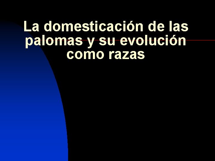 La domesticación de las palomas y su evolución como razas 