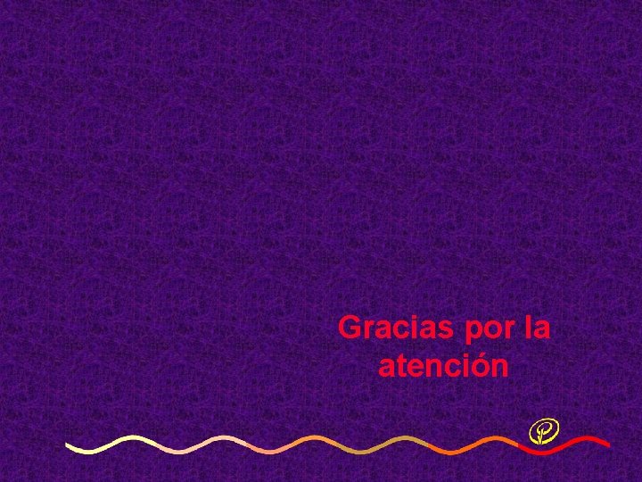 Gracias por la atención Gracias por la atención