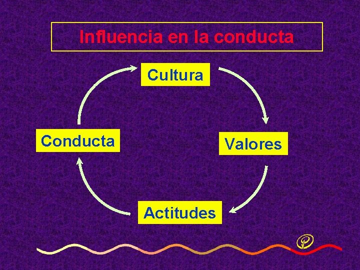 Influencia en la conducta Cultura Conducta Valores Actitudes Influencia en la conducta Cultura Conducta Valores Actitudes