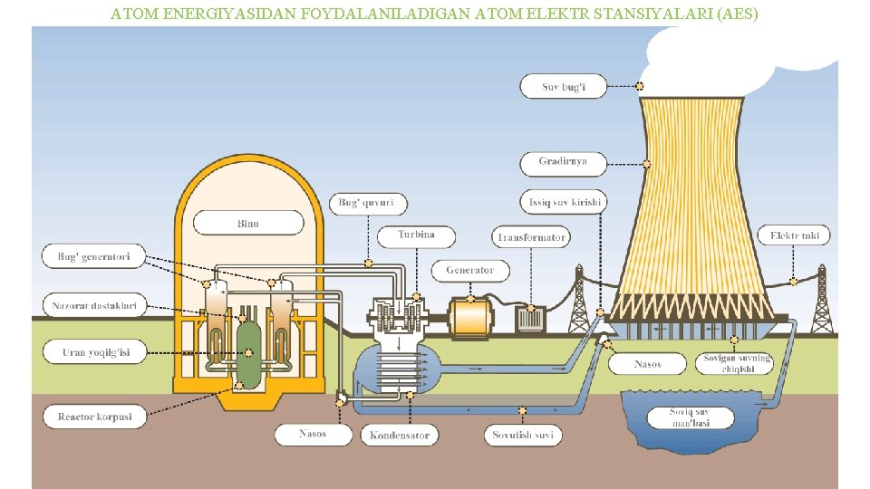 ATОM ENERGIYASIDAN FОYDALANILADIGAN ATОM ELEKTR STANSIYALARI (AES) ATОM ENERGIYASIDAN FОYDALANILADIGAN ATОM ELEKTR STANSIYALARI (AES)