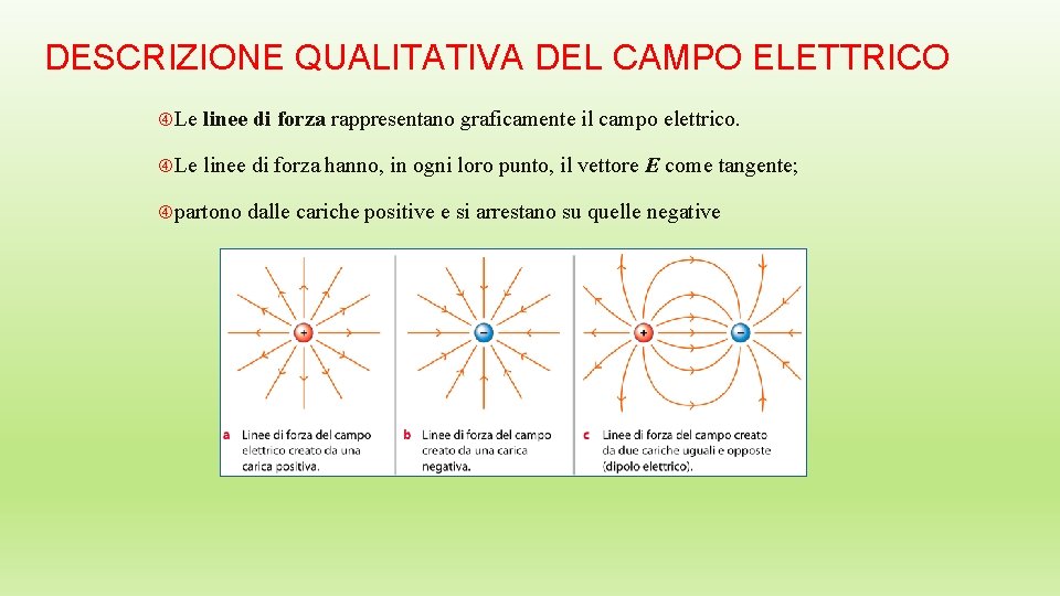 DESCRIZIONE QUALITATIVA DEL CAMPO ELETTRICO Le linee di forza rappresentano graficamente il campo elettrico.