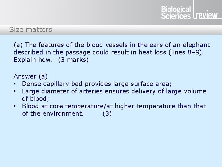 Size matters (a) The features of the blood vessels in the ears of an