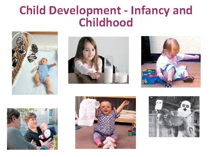 Child Development - Infancy and Childhood 