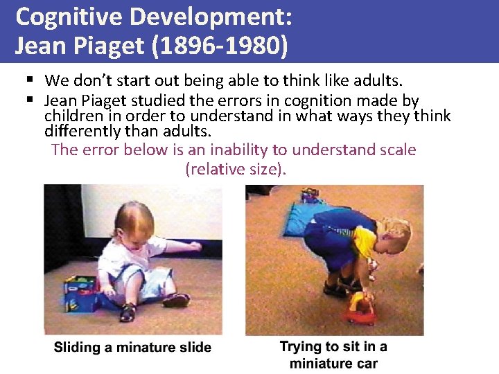 Cognitive Development: Jean Piaget (1896 -1980) § We don’t start out being able to