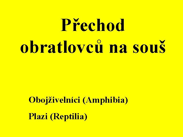 Přechod obratlovců na souš Obojživelníci (Amphibia) Plazi (Reptilia) 