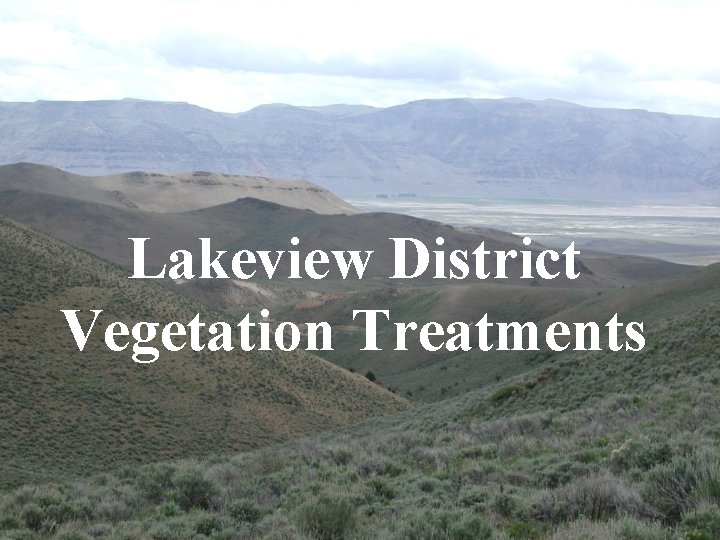 Lakeview District Vegetation Treatments 