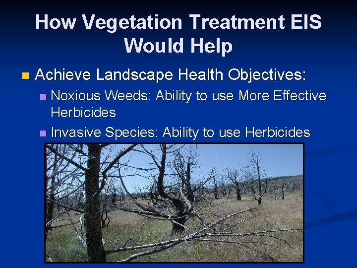 How Vegetation Treatment EIS Would Help n Achieve Landscape Health Objectives: Noxious Weeds: Ability
