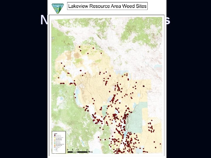 Noxious Weeds Sites 